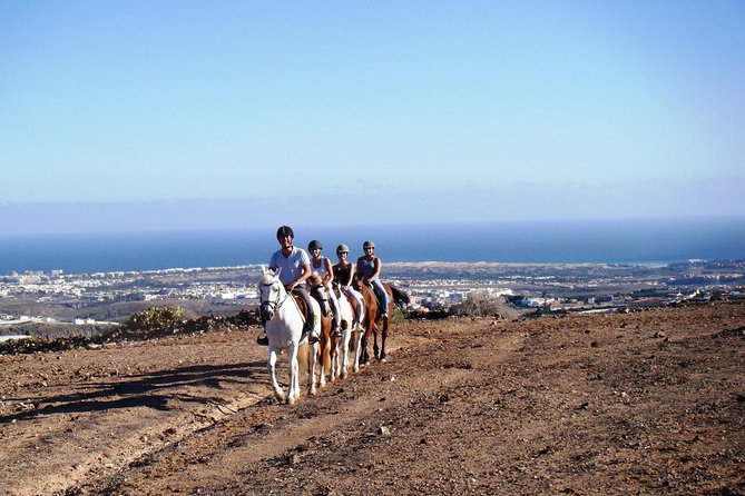 Maneggi e escursioni a cavallo a Tenerife